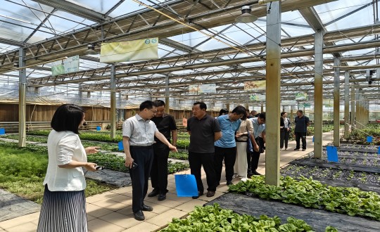 2024年6月27日，，，中国绿色食物生长中心相关向导莅临农业总公司考察调研_副本.jpg